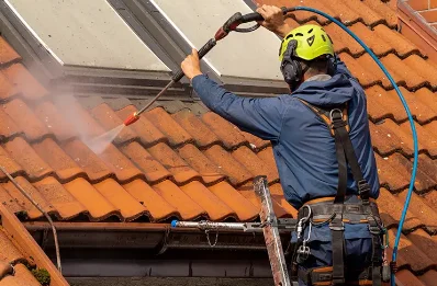 Démoussage et hydrofuge de toiture à Échallat